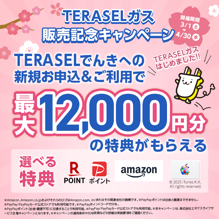 TERASELガス販売記念キャンペーン